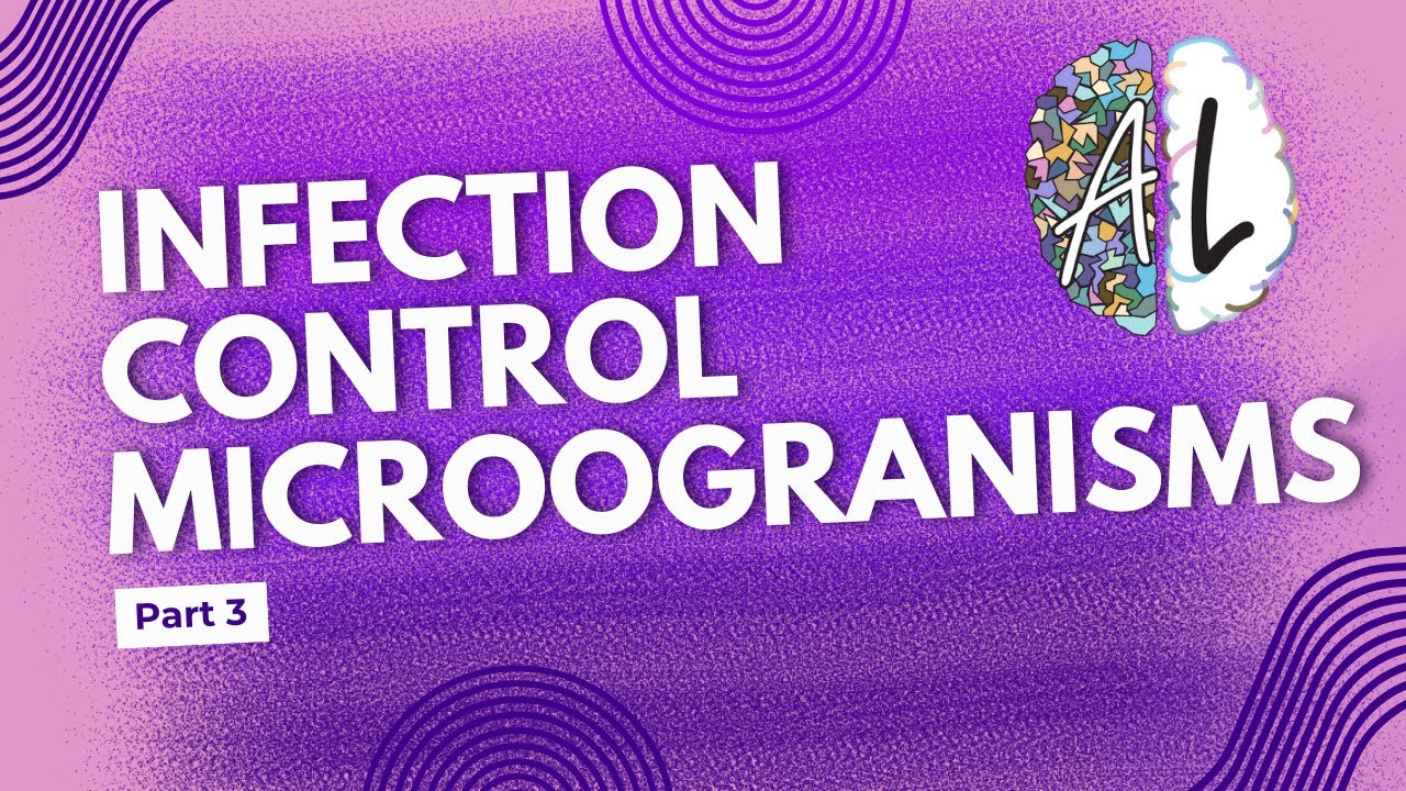 🦠 Microorganisms & Infection: Bacteria, Viruses, Fungi & Parasites Explained! 💊🌿