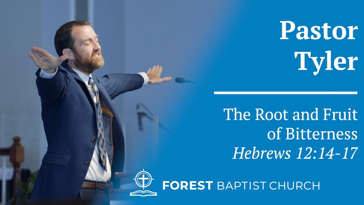 Hebrews 12:14-17- The Root and Fruit of Bitterness