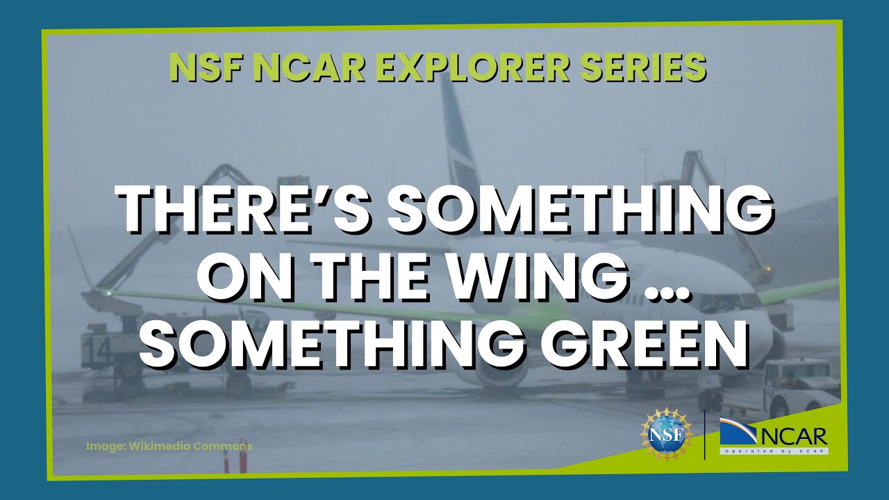 There's something on the wing...something green