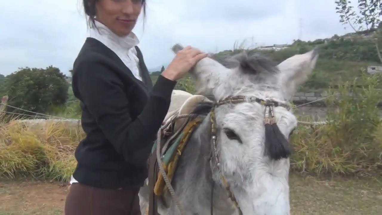 Epic Donkey Riding! Donkey #donkeyriding #reiten #eselreiten #ponyriding #pferd #leder #lederstiefel