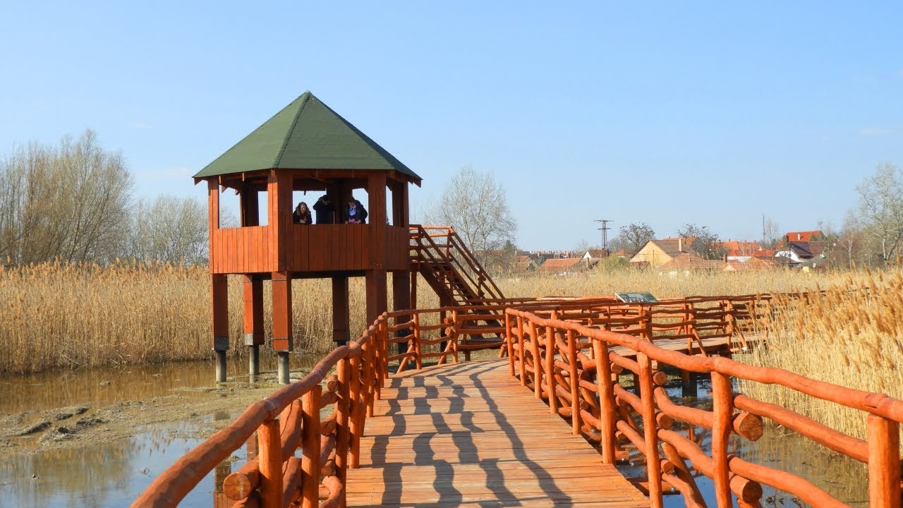 Ecological Park in Tiszakécske 2022