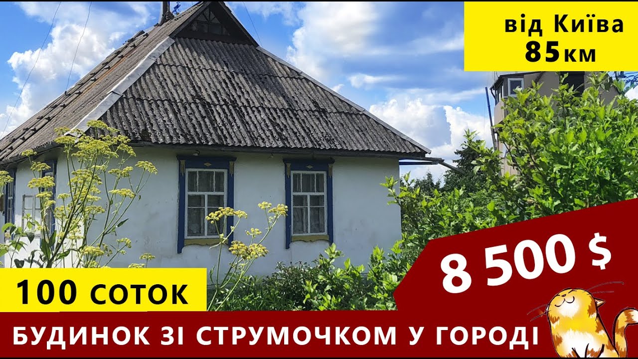Огляд будинка біля лісу, зі струмочком у городі . Київська область с Триліси