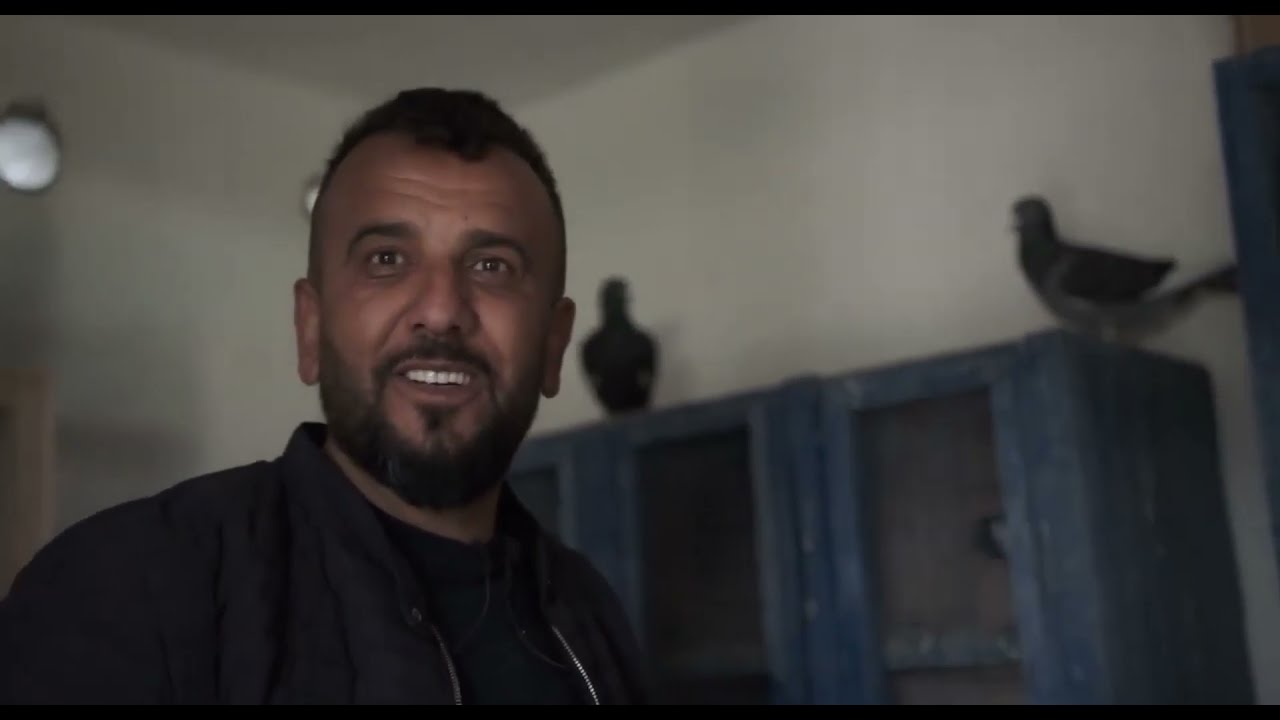Adana güvercini hikayeleri Kozan Umut Karaoğlan