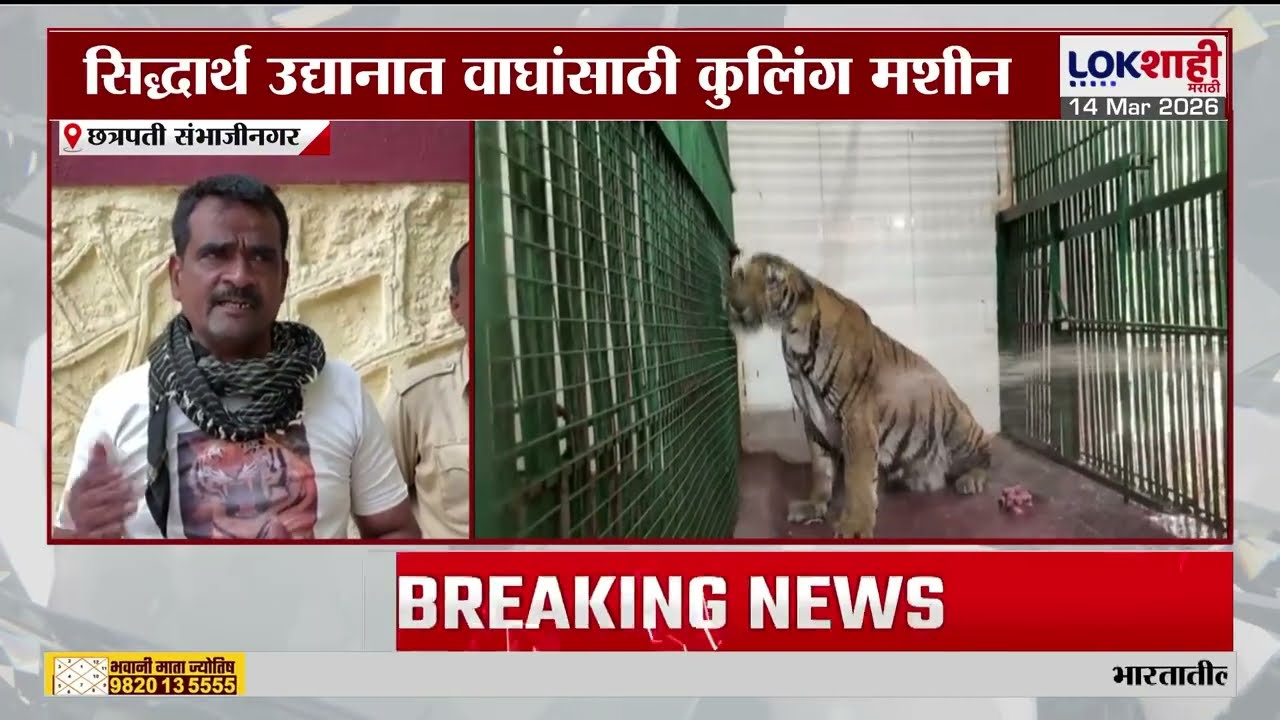 Sambhajinagar News। शहराचा पारा 40 अंश सेल्सिअसच्या पार; सिद्धार्थ उद्यानात वाघांसाठी कुलिंग मशीन