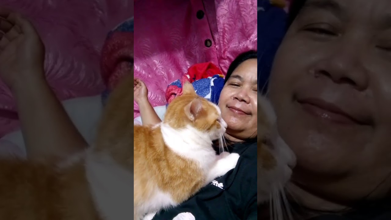 Everyday life with Rengoko Zenitzo and Tanjiro 