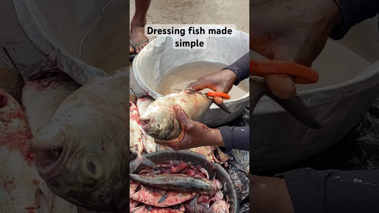 How to dress fish 