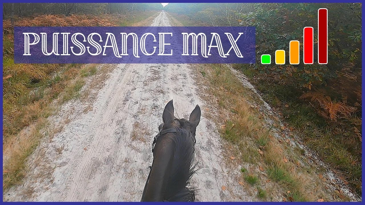 JE POUSSE BALY A FOND AU GALOP SUR 1KM ! - Il avait vraiment besoin de ça 5/7