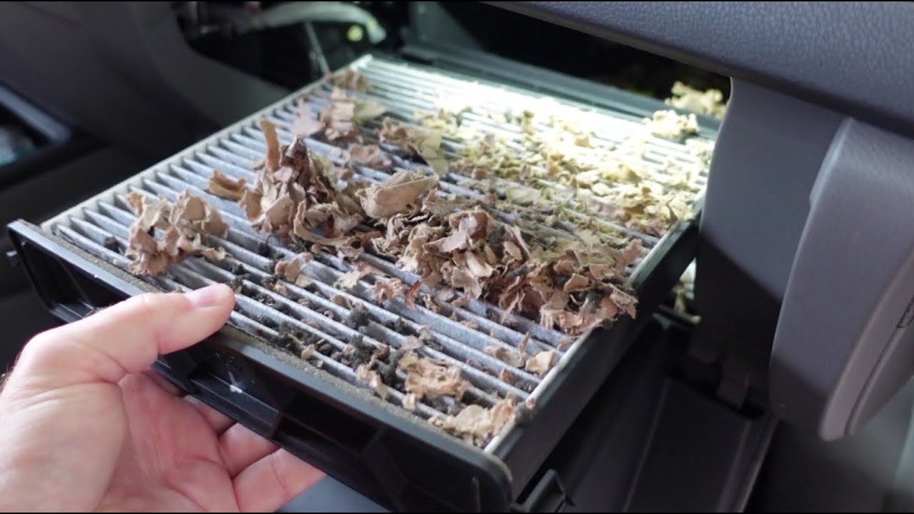 Change Your Car's Cabin Filter? It had a Mouse Nest on it!