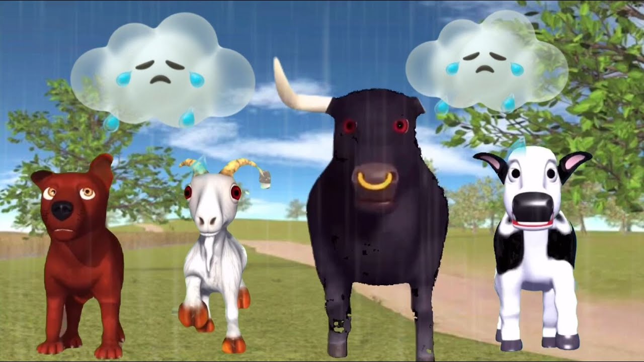 EL TORO NEGRO EL PERRO LA CABRA Y LA JOVEN VACA PASAN TIEMPO JUNTOS EN DIFERENTES EFECTOS DEL CLIMA