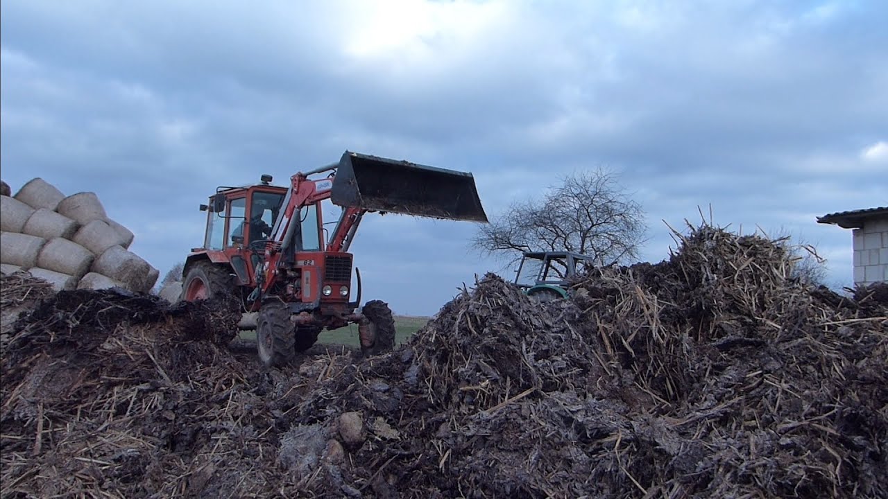 Oporowe Rozrzucanie Gnoju!!!!Deutz-Fahr&Mtz 82!!!Firma AD-POL!!!