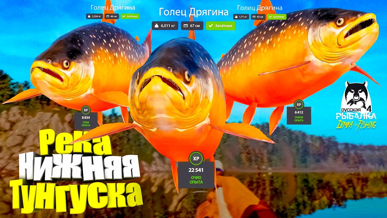 Русская рыбалка 4.🎣 р. Нижняя Тунгуска 🐋🐋🐋💦 от LATORSO 👀