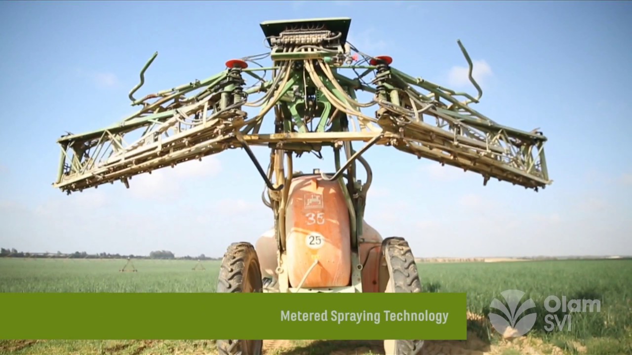 Olam Onions - Our Egypt business