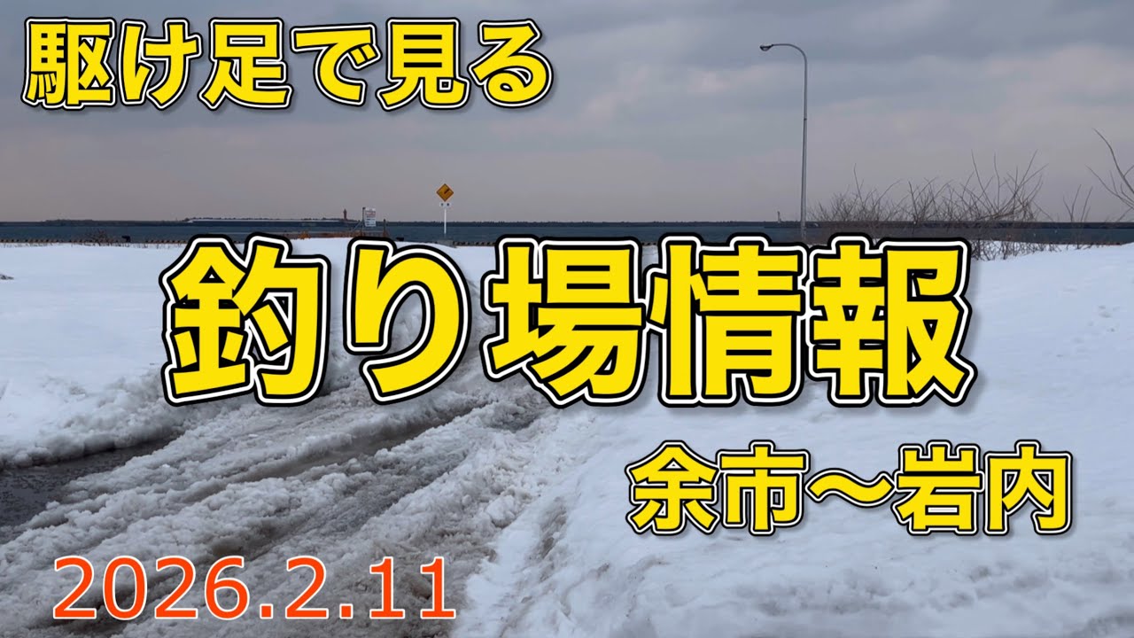 駆け足で見る釣り場情報　余市〜岩内【2026.2.11】