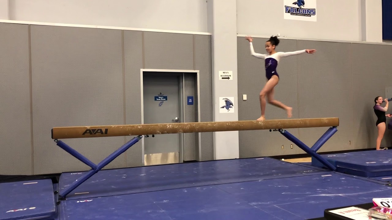 Gymnastics! Level 7 Team Champions!