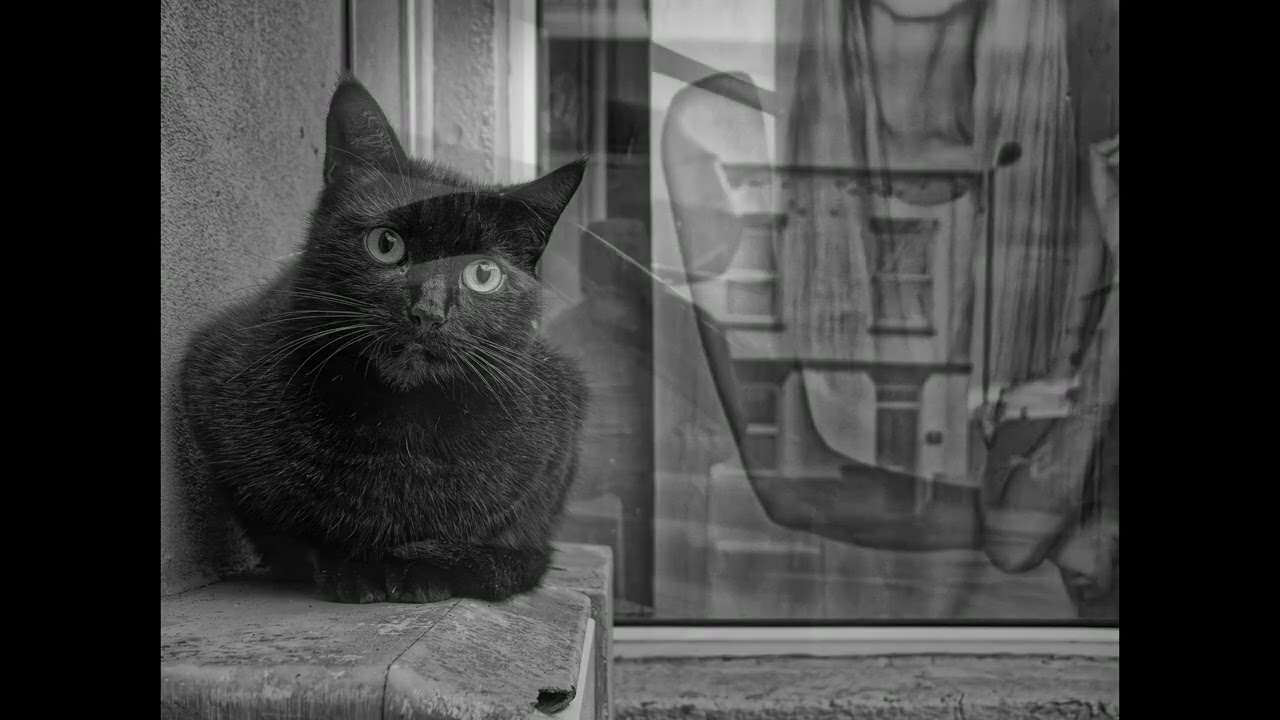 B+W photography 2025