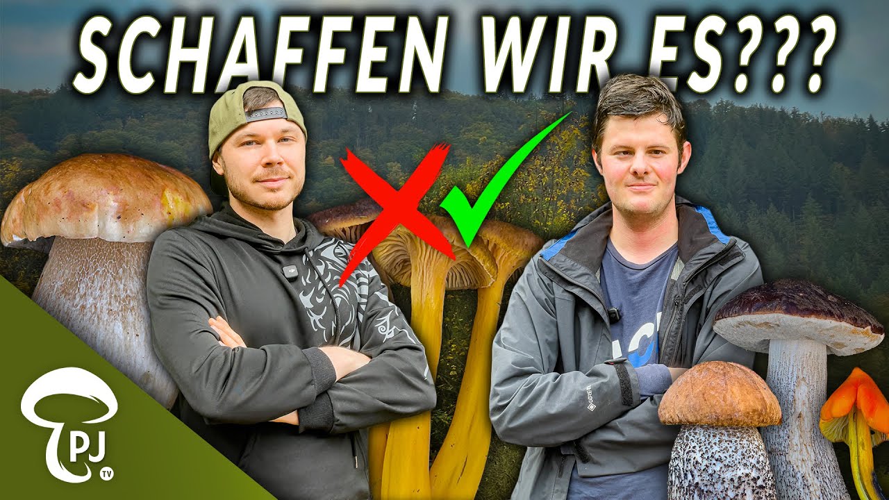 Das große Finale der ChatGPT PilzChallenge + Steinpilze, Trüffel und vieles mehr!