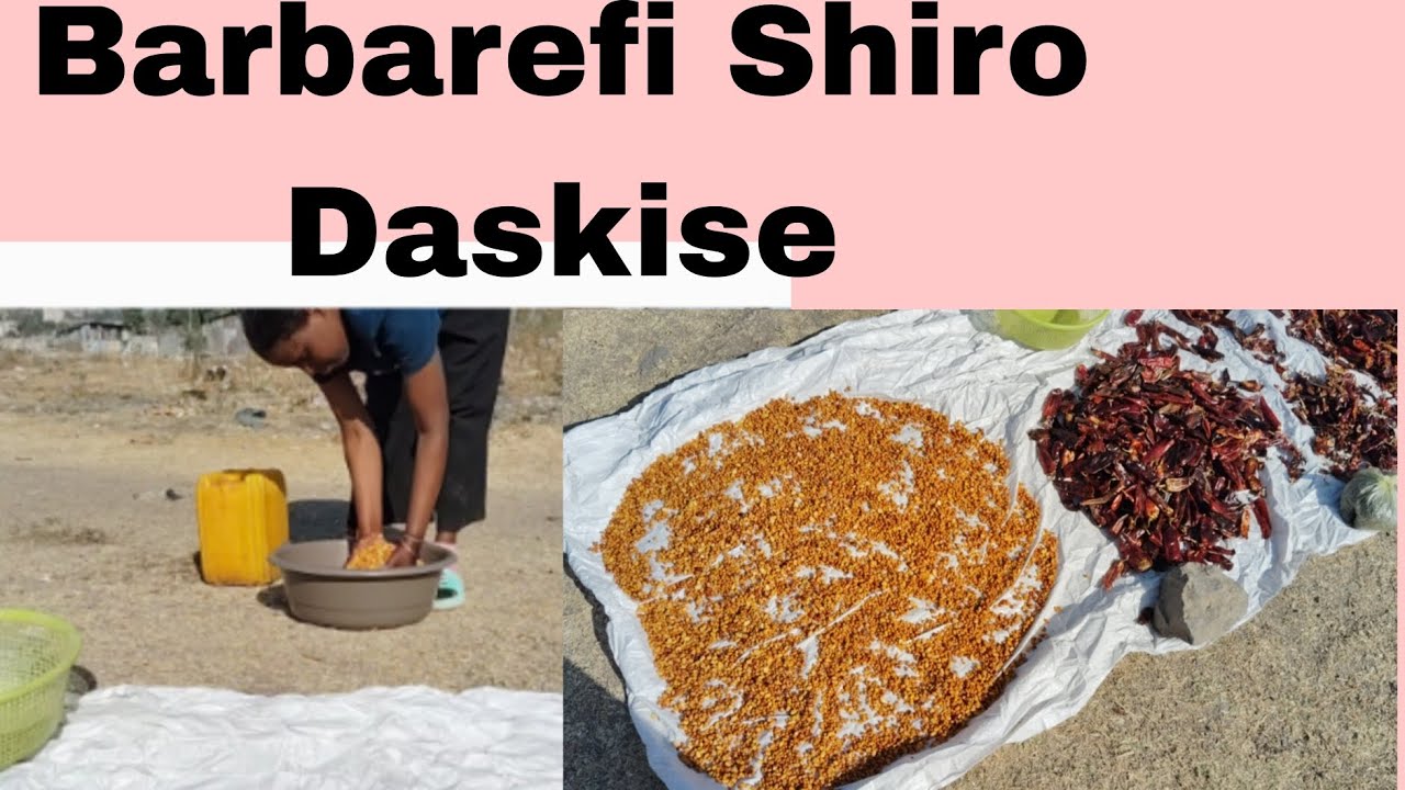 ,magalaa esaa demana lataa Shiro fi barbaree nama fuene?