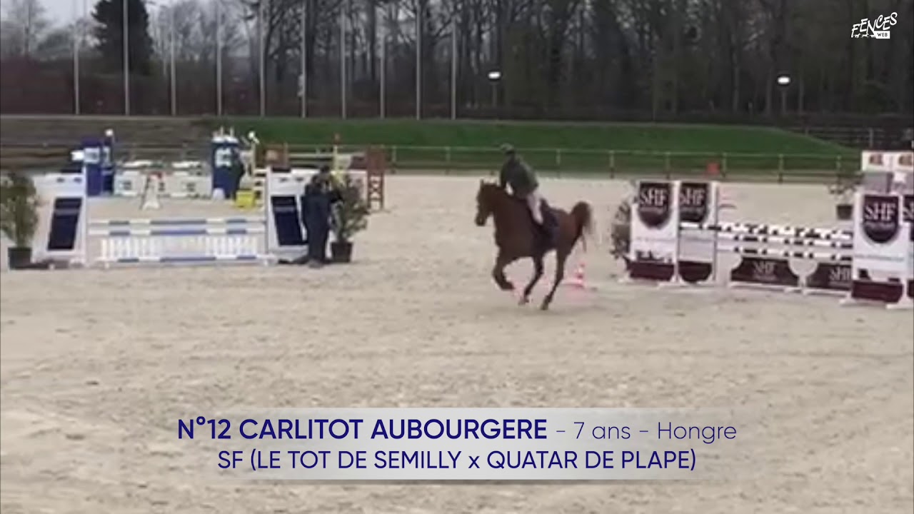 N°12 CARLITOT AUBOURGERE