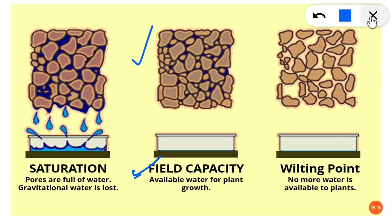 PHYSICAL & CHEMICAL PROPERTIES OF SOIL