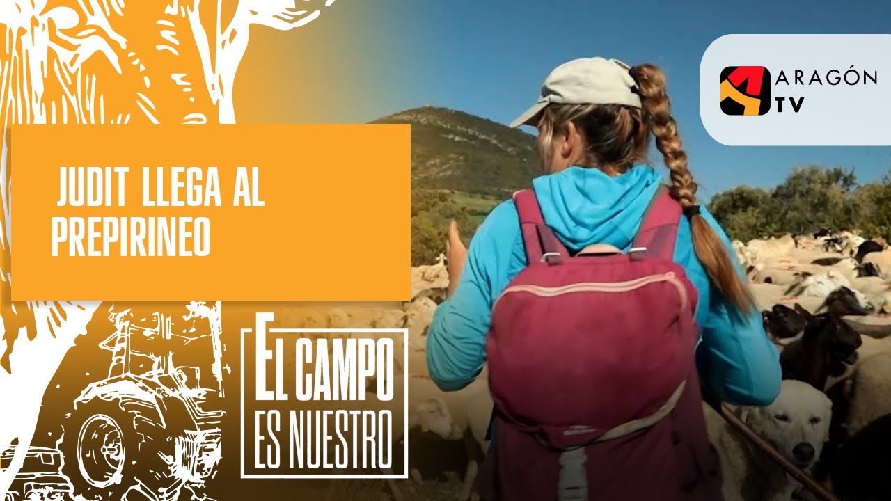 Judit llega al Prepirineo con su rebaño