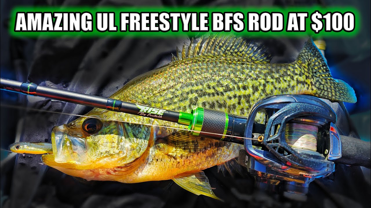 Eurotackle Rise BFS Fishing Rod First Impression Review