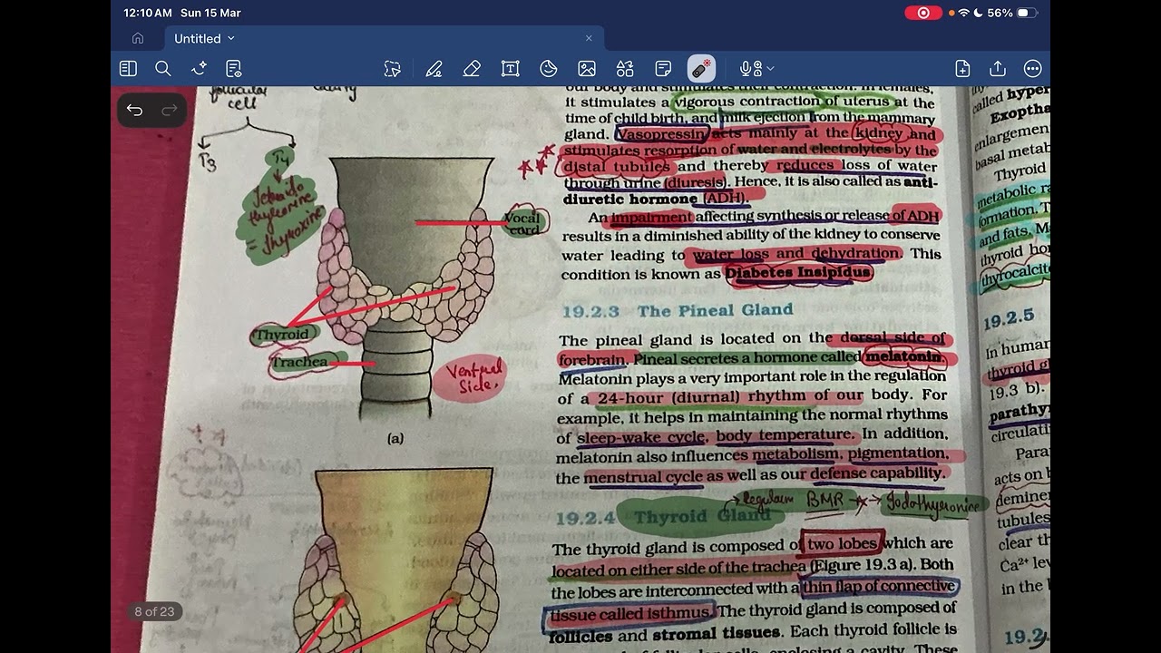 Chemical coordination revision in 25 min