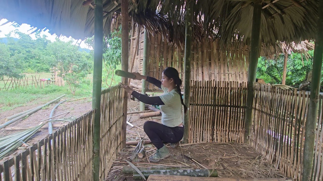 REWIND TIME LAPSE: START to FINISH Alone Building Bamboo House - BUILD LOG CABIN with many Bamboo
