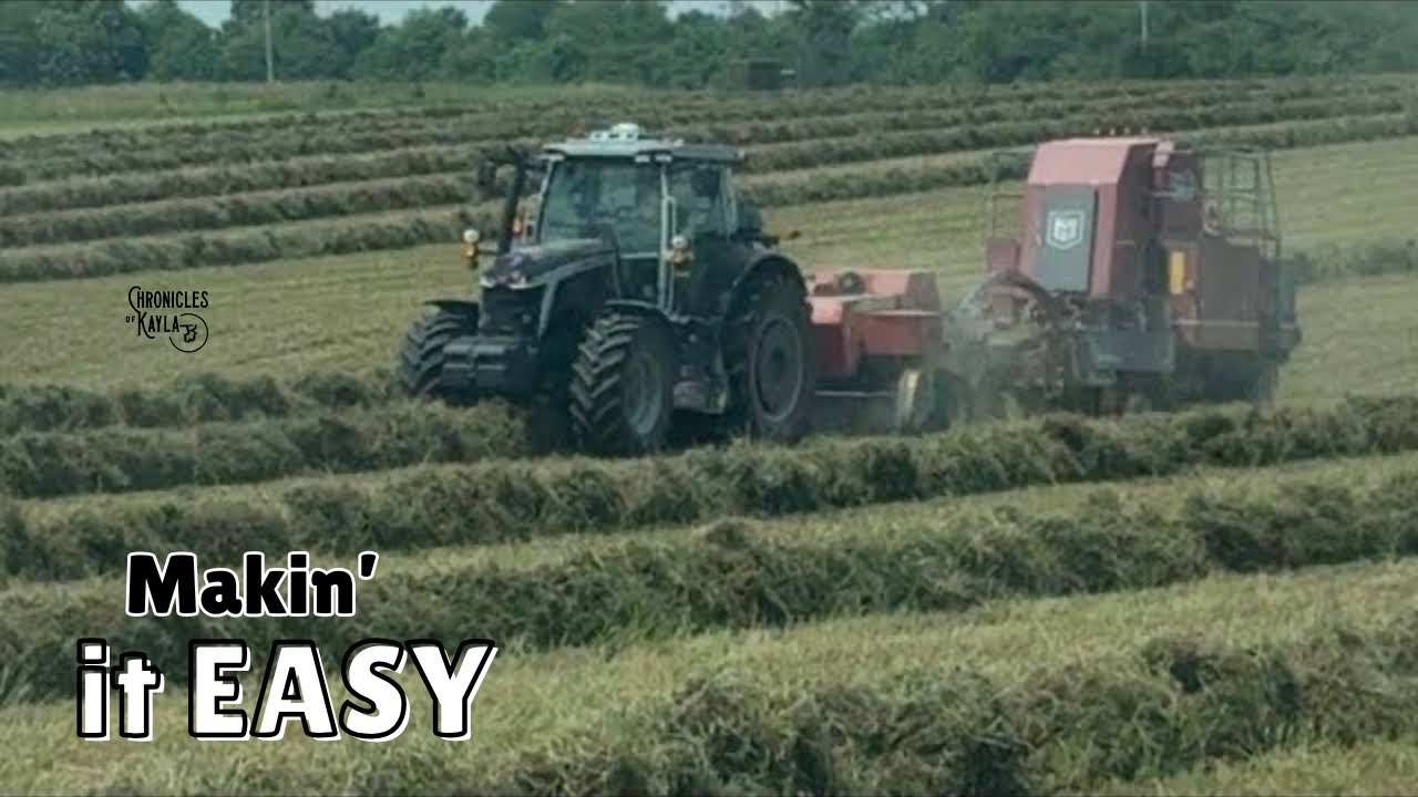 Bettering Our Operation | 2nd cut alfalfa continues... 7000 bales off 77 acres #forage #alfalfa #hay