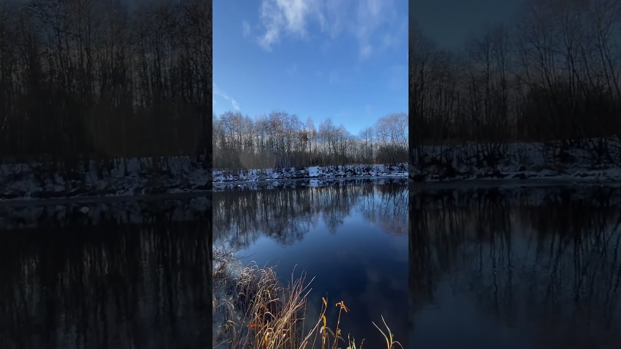На повороте реки со спиннингом #fishing #smallriver #nature