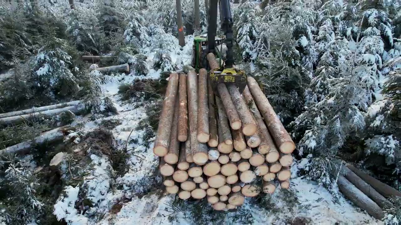 Windwurfaufarbeitung Streif Waldbewirtschaftung🌲