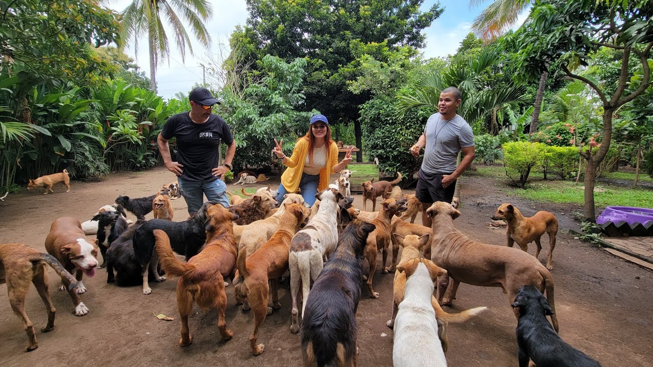 🐶🐕 El refugio con más PERROS en El Salvador 🇸🇻 conocimos más de 221 peludos😍🐕❤