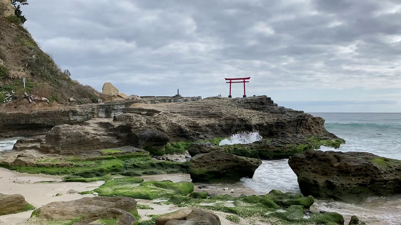 白浜海岸の鳥居⛩白浜神社 動画を見るだけで縁結び&恋愛運アップ