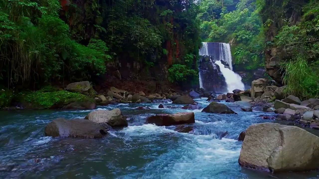 Fall Asleep with Serene River Stream | sleep - relax - enjoy life - ASMR