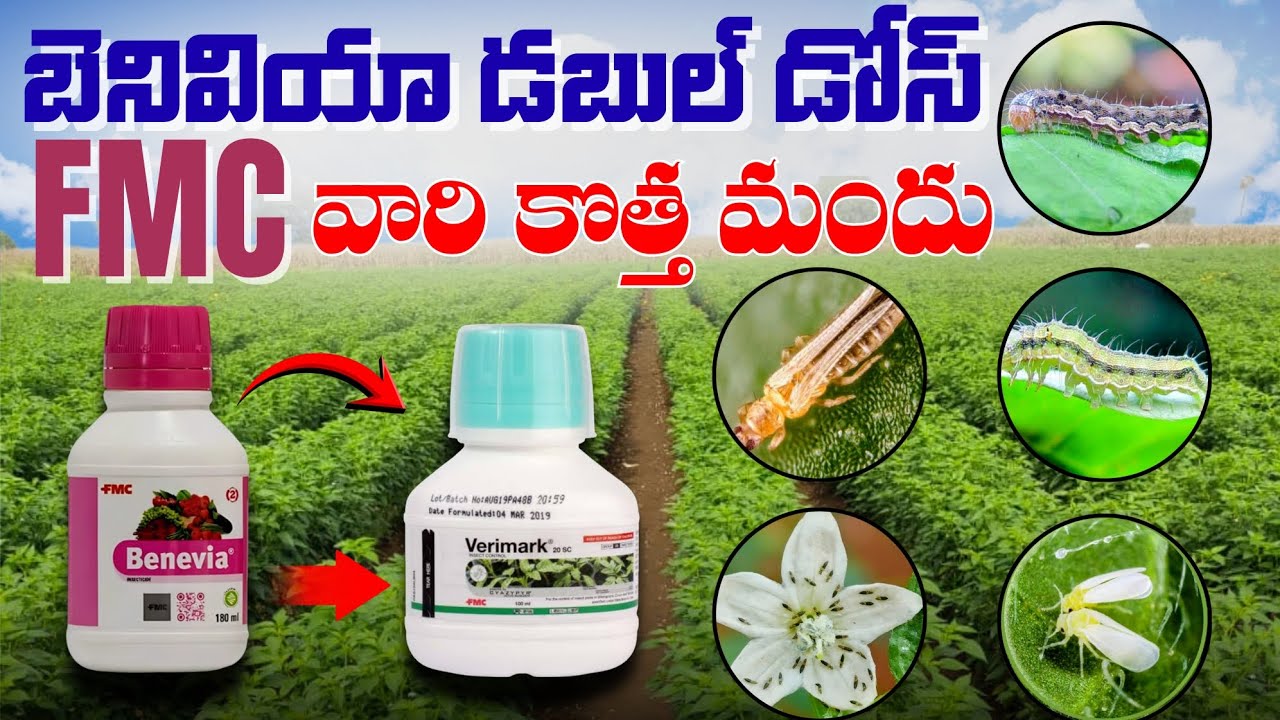 బెనివియా డబుల్ డోస్  FMC 