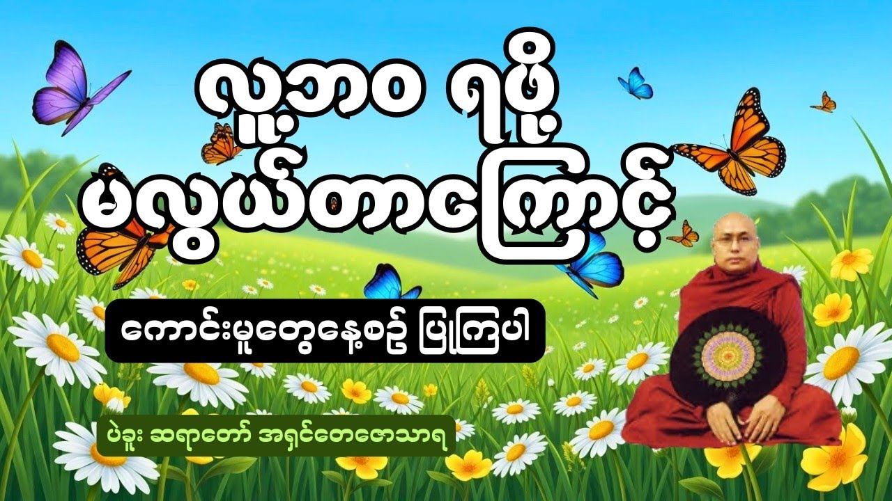 လူ့ဘဝရဖို့ မလွယ်သောကြောင့် အကြောင်းကြောင့် အကျိုးဖြစ်တတ်သည် #တရားတော်များ#တရားတော် #dhamma