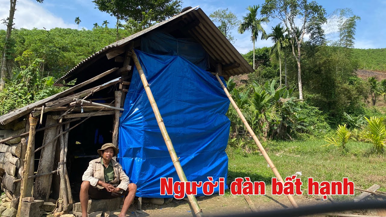 Hành Trình Mang Ánh Sáng Cho Người Đàn Ông Sống Ẩn Trong Rừng 