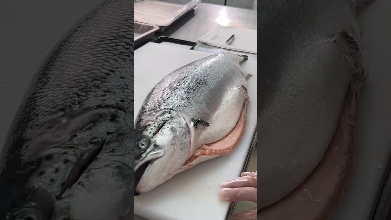 Professional salmon cutting!