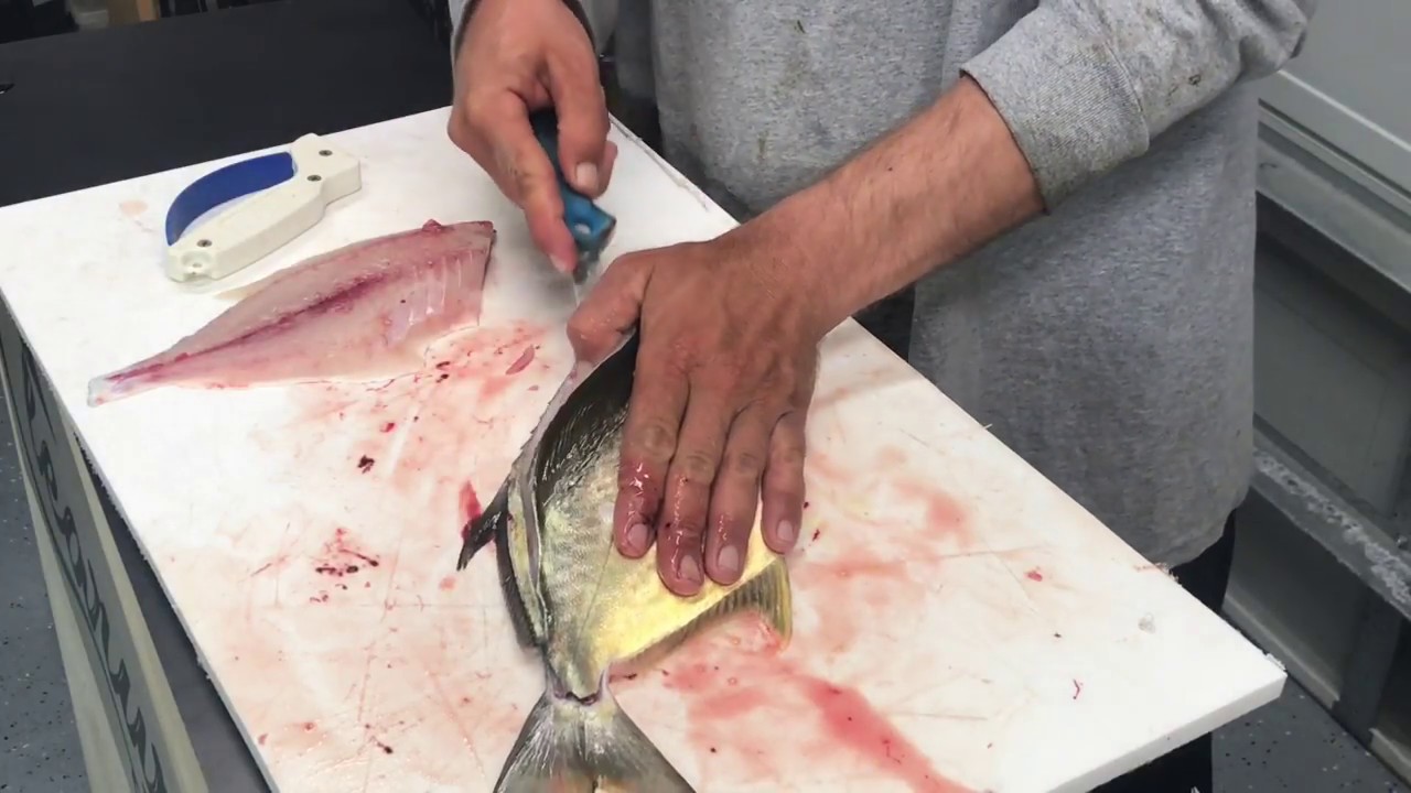 How to Fillet a Pompano