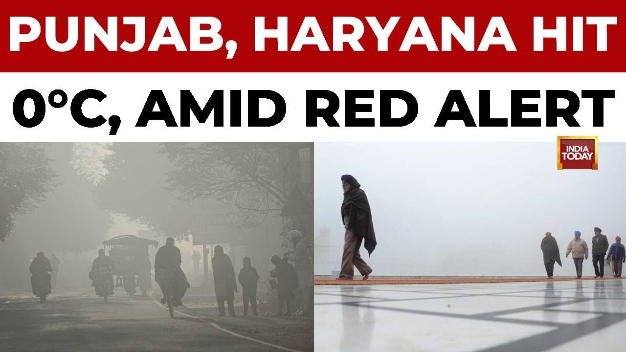 Punjab And Haryana Hit Zero Degrees As Meteorological Dept Issues Red Alert | India Today News