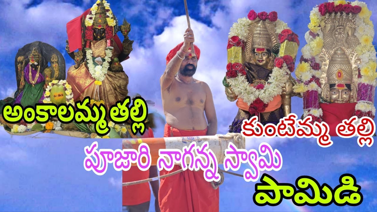 అనంతపురం జిల్లా పామిడి 6 పండ్ల విభాగంలో 9 va jagha B B R bulls బచ్చల భాస్కర్ రెడ్డి
