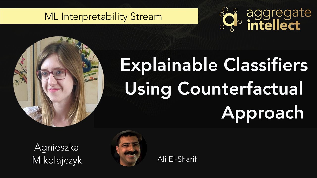 Explainable Classifiers Using Counterfactual Approach | AISC