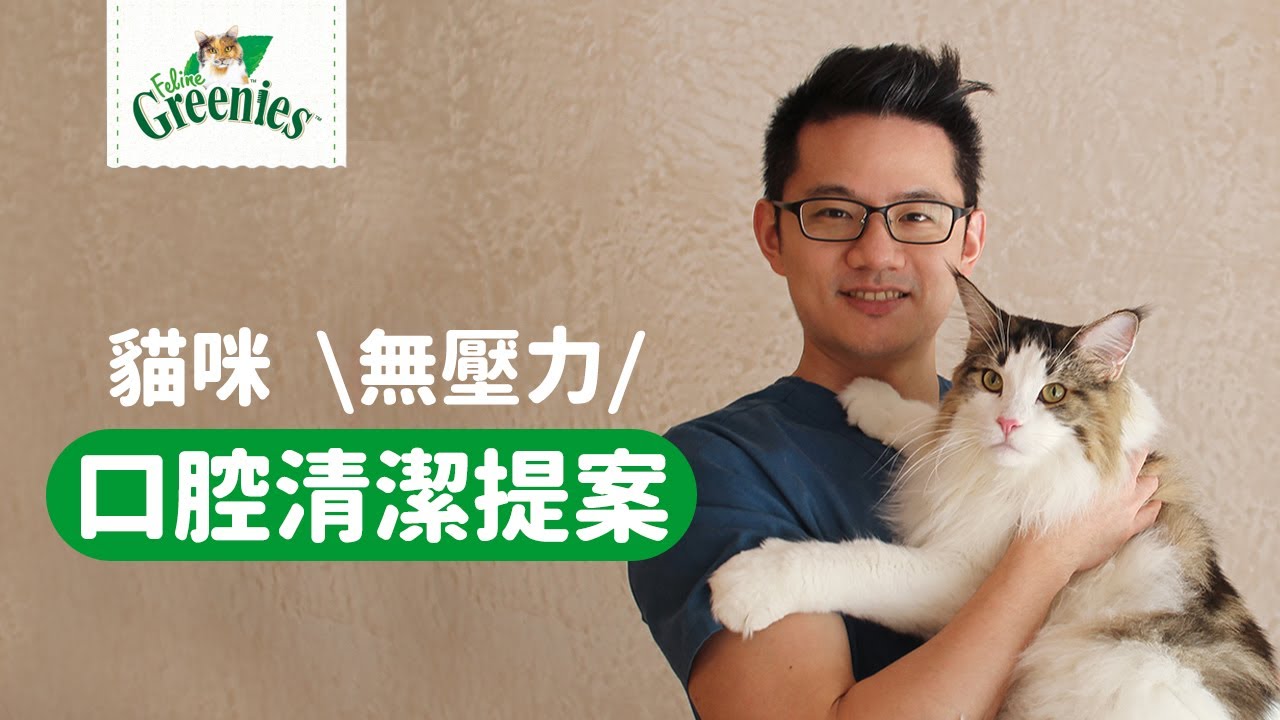 【健綠潔牙餅】貓咪無壓力口腔清潔提案 feat.原典-孫全獸醫師