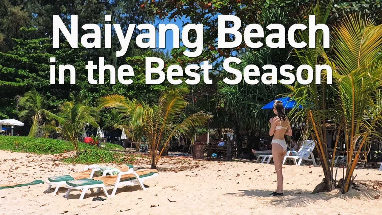 Naiyang Beach in the Best Season - One of the most tranquil and pleasant Phuket beaches.