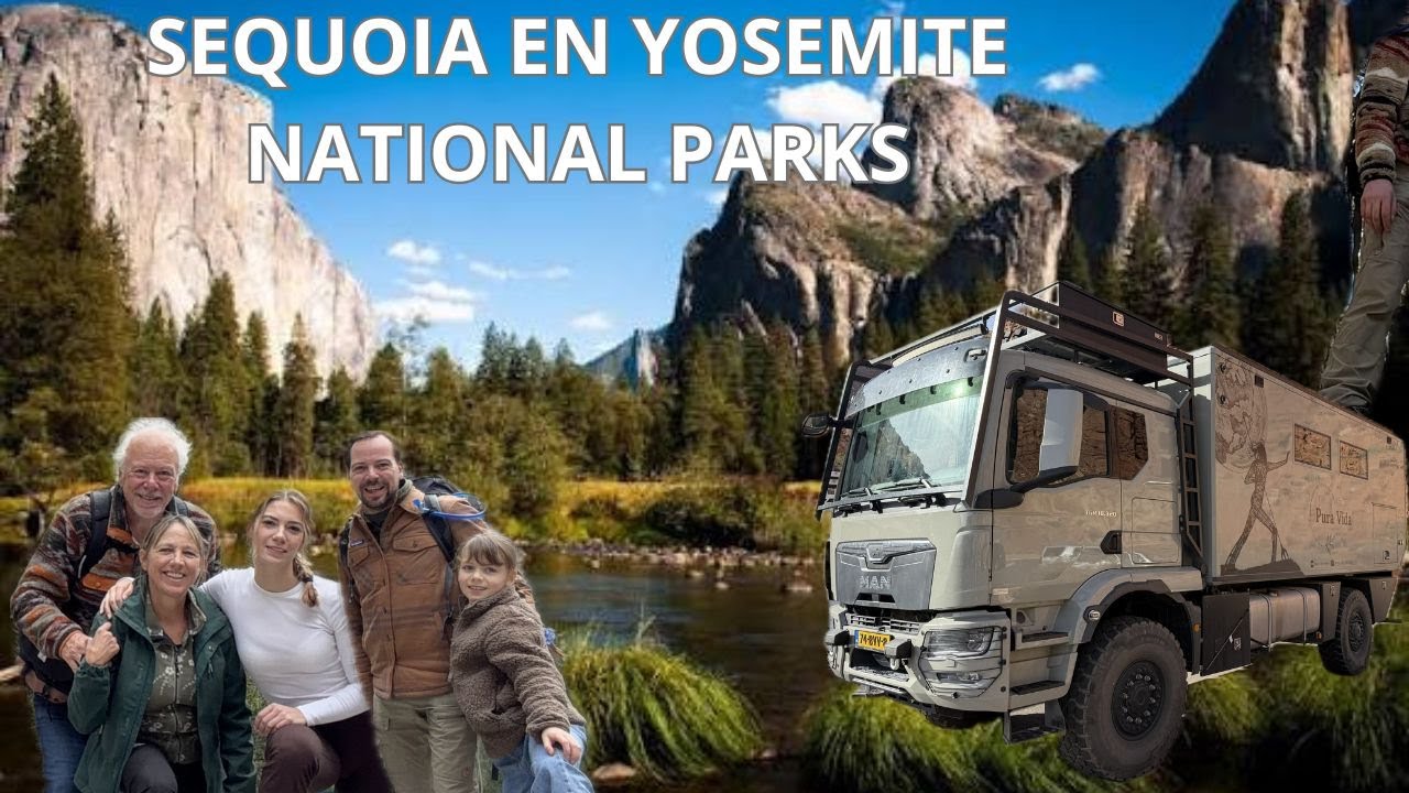 Afl 26 `SEQUOIA EN YOSEMITE NATIONAL PARK.