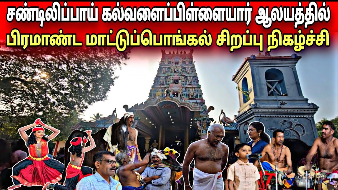 🛑மாட்டுப்பொங்கல் சிறப்பு நிகழ்வுக்குல் | புகுந்த குதிரை கூட்டம்😱கல்வளைப்பிள்ளையார் ஆலயத்தில்#temple 