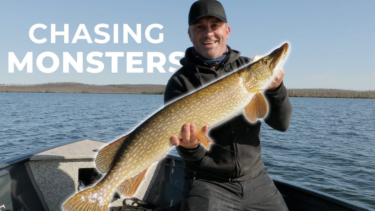NEW JURASSIC PIKE FOUND ?! (2/2) - Chasing Monsters