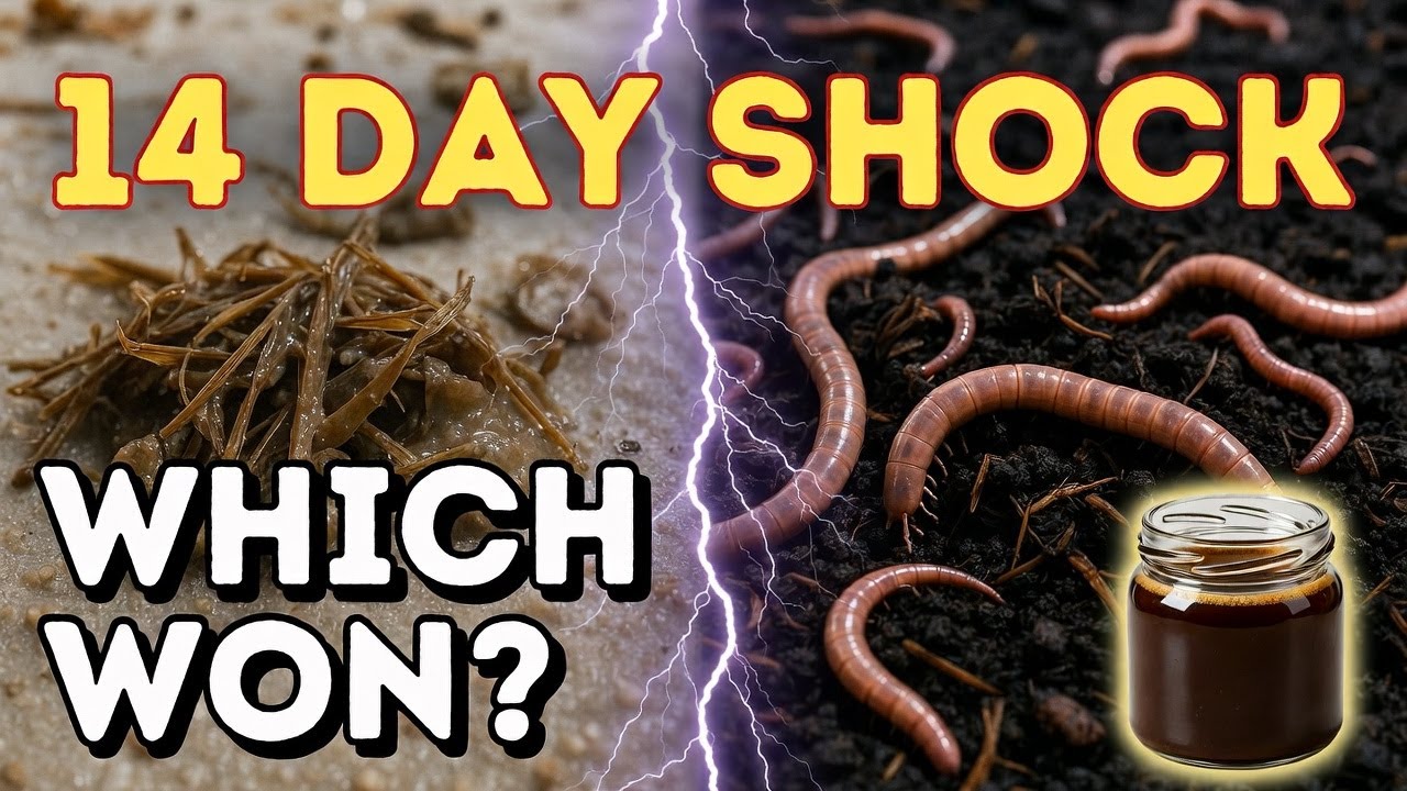 I Buried Fresh vs Fermented Grass... What Happened in 14 Days Is INSANE