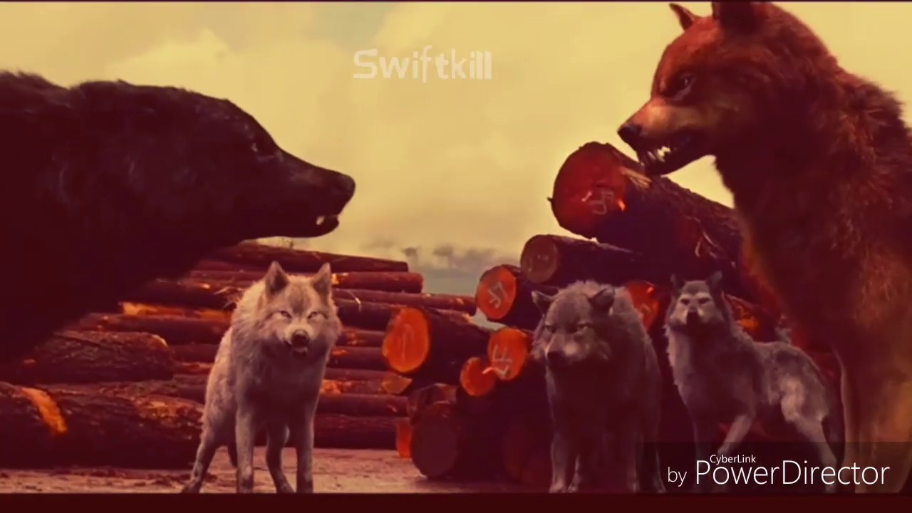 Twilight wolves ~🔥Phoenix🔥