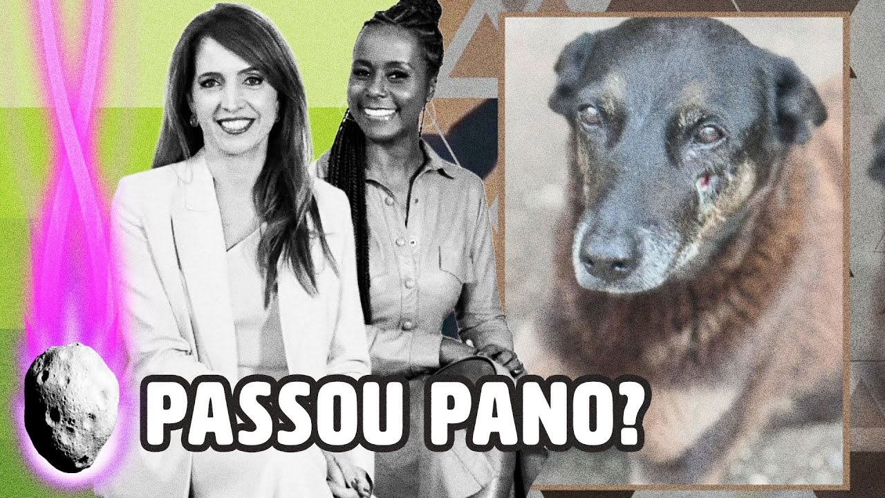 FANTÁSTICO É ACUSADO DE PASSAR PANO NO CASO DO CACHORRO ORELHA E GERA REVOLTA NA INTERNET | PLANTÃO