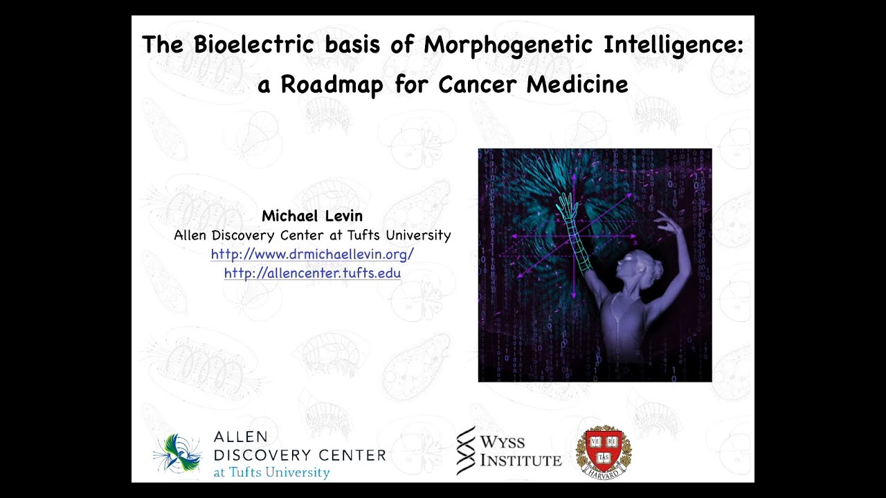The Bioelectric Basis of Morphogenetic Intelligence: a Roadmap for Cancer Medicine by Michael Levin